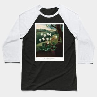 The Persian Cyclamen Baseball T-Shirt